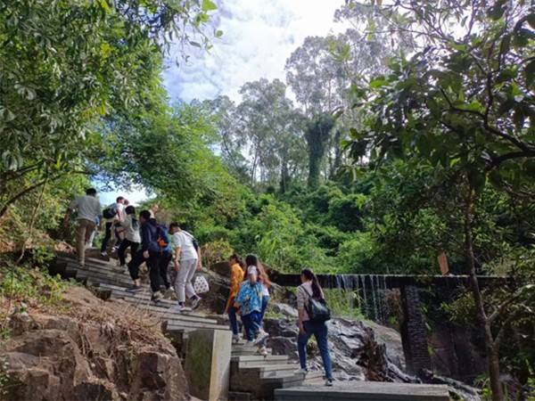 黄瓜视频下载网址