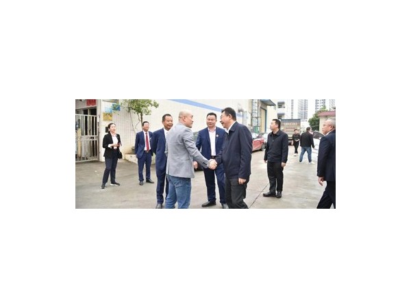 揭陽市揭西縣縣委書記劉端雄到黄瓜视频破解下载調研指導工作